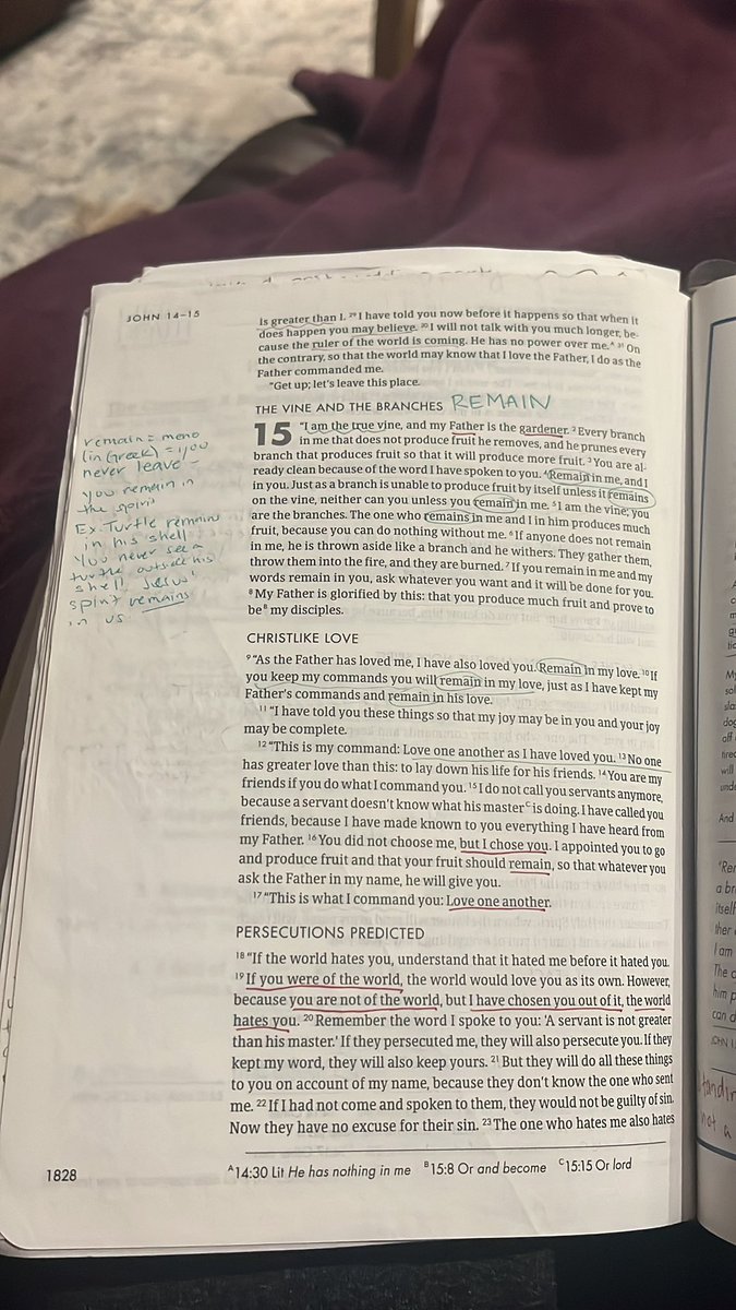 aim_hill's tweet photo. Remain remain remain. God is the gardener. Jesus is the vine. We are the branches. The branches are useless without the vine. #John15 https://t.co/ktrHqbBnim