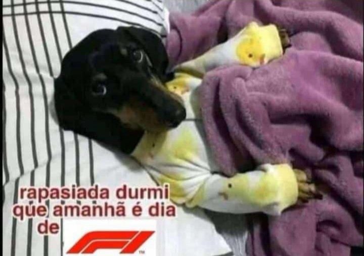 blog_formula1's tweet photo. 😴

Quali 7:30 da manhã! https://t.co/OOr36sCDJW