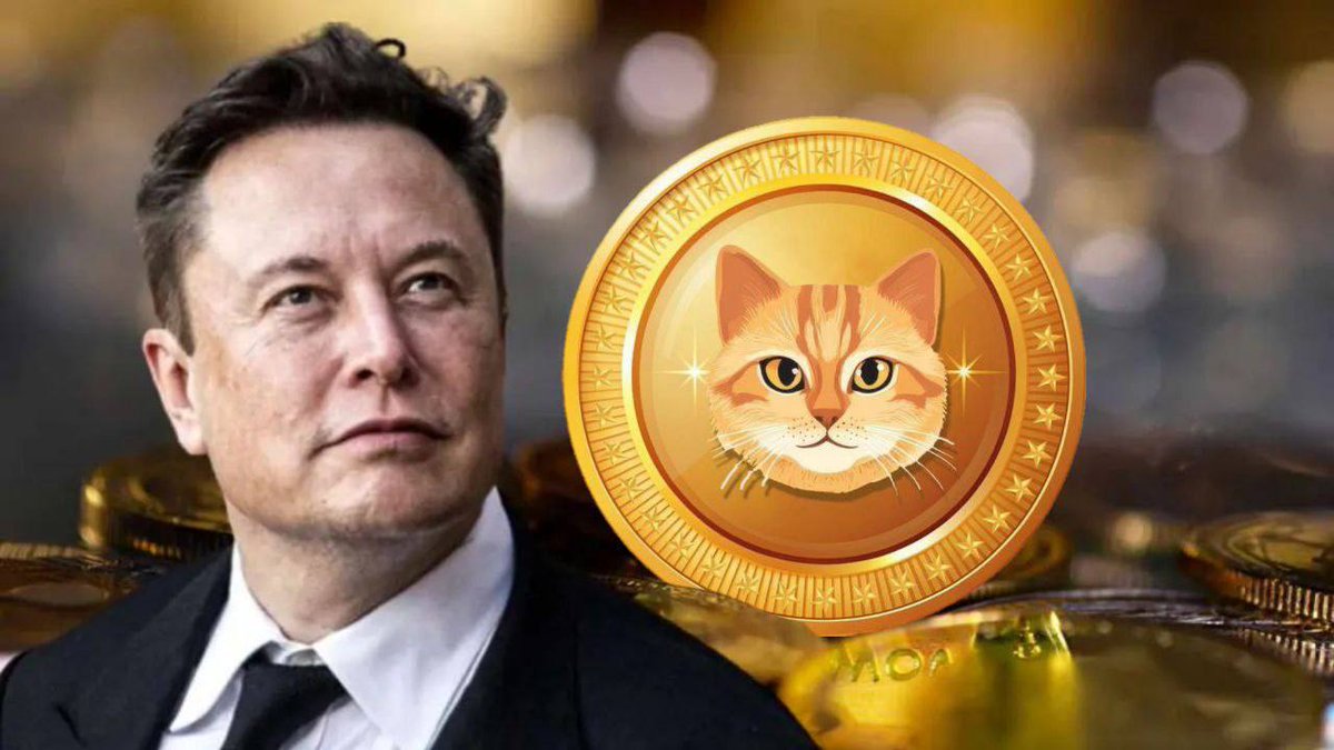 dnhtrong1505201's tweet photo. @Bybit_Web3 @Bybit_Official CAT TOKEN   @catmeme_bsc 
CA:0x5971f6ecf4092824ed8229154d97c21317a04764
#catbsc #cattoken #memecoin
Why don't you own it now. #Cattoken, the potential coin that can multiply your account hundreds https://t.co/0w7w6Z0L2Y