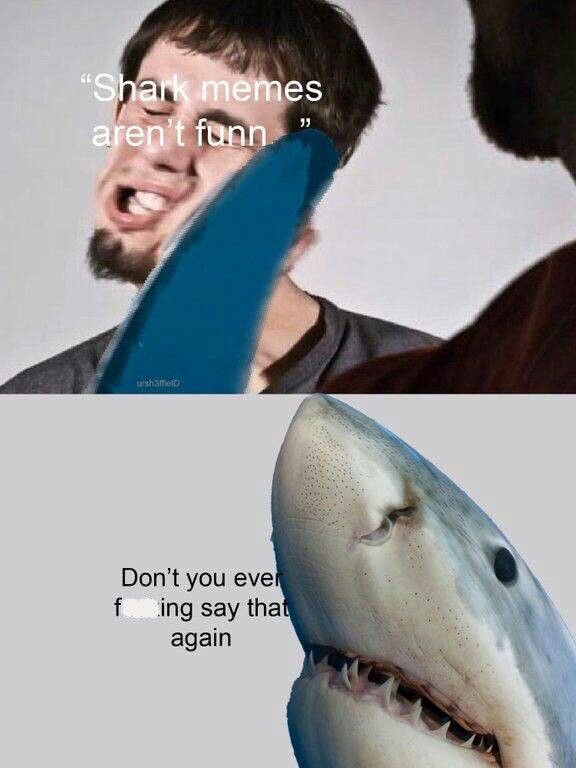 ⁦<a href="/BruceShark5/">Bruce Shark</a>⁩