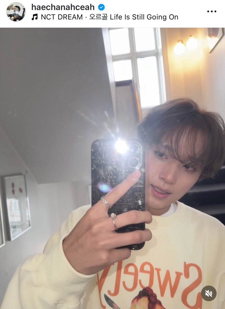해쨘이🐻 tweet media
