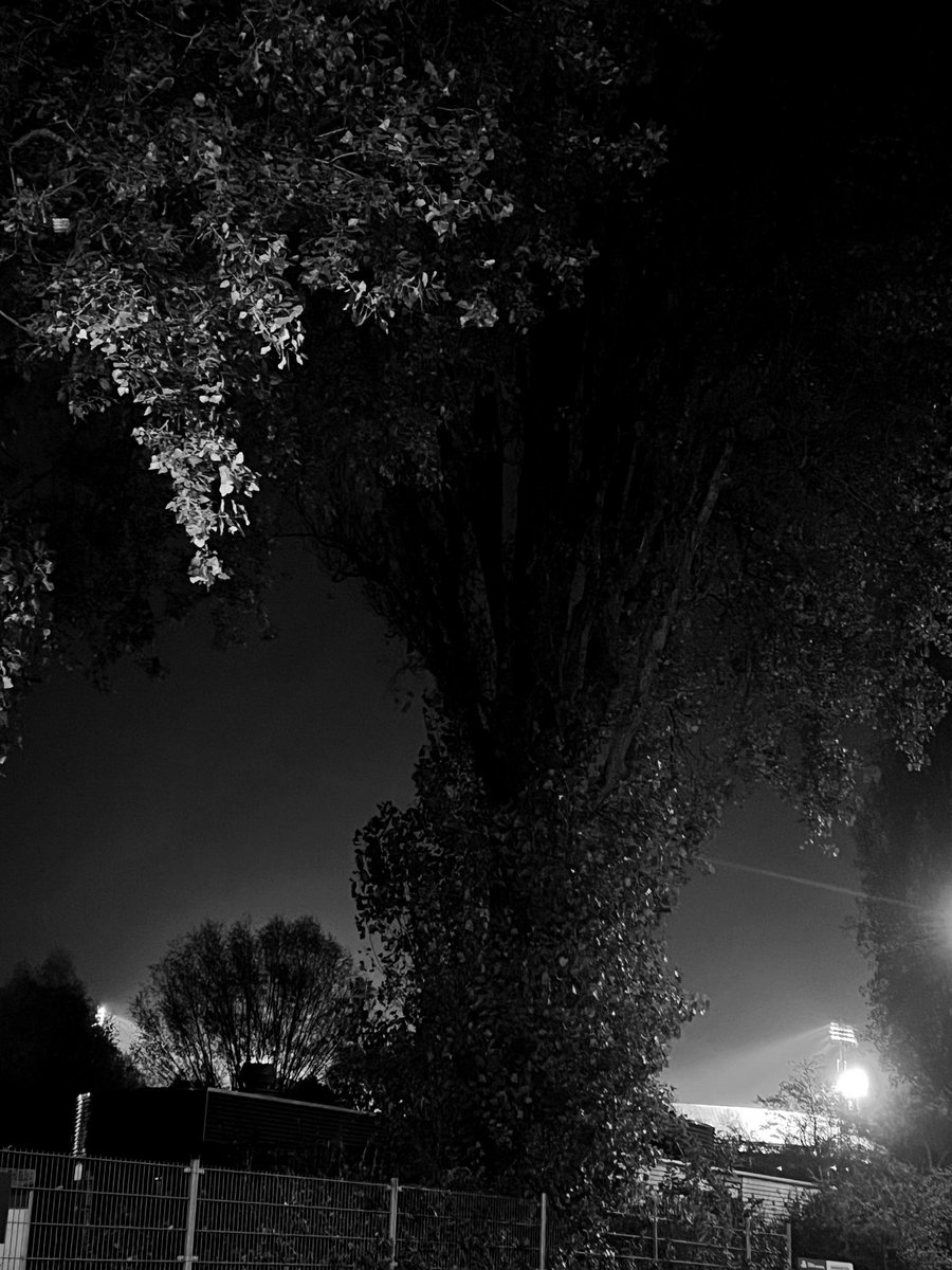 TP_1908's tweet image. Feyenoord - AZ