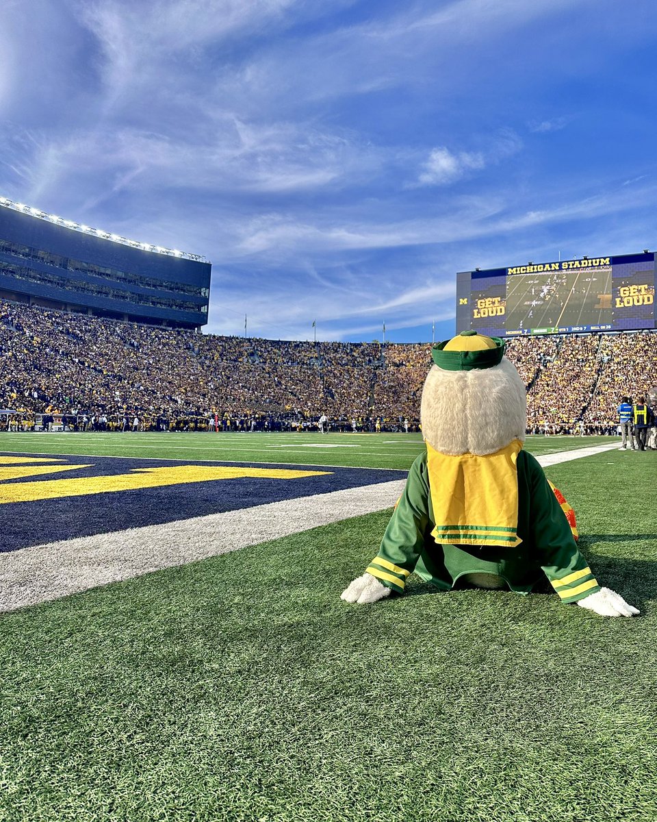 big bird, wittle house