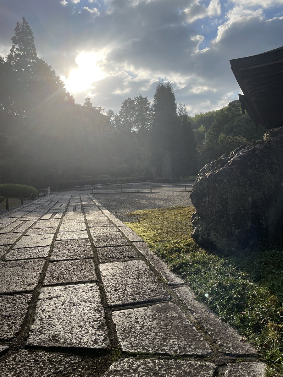 saihojimuin's tweet photo. 除草していて思わず見上げました。陽射しが強い。 https://t.co/zZr7D8n54n