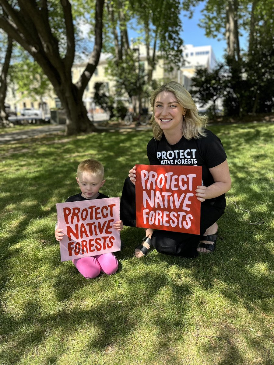 BobBrownFndn's tweet image. Our nationwide rallies have kicked off around the country with thousands of people turning out to call for the protection of our native forests #politas #auspol