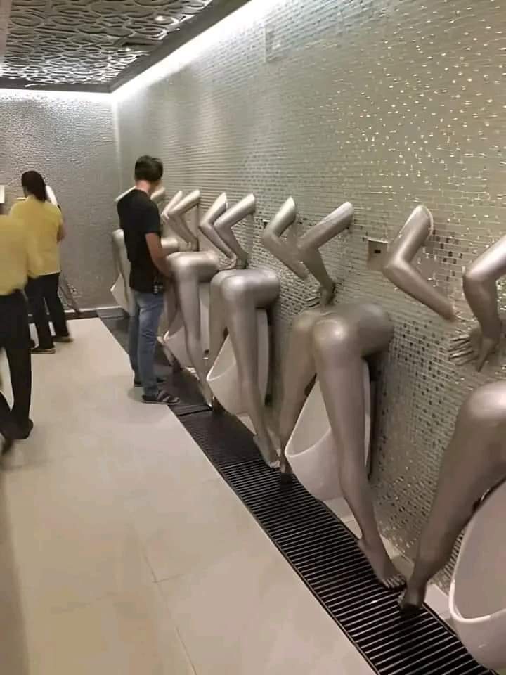 الحمام الذي يتمناه الجميع 🤣🤣