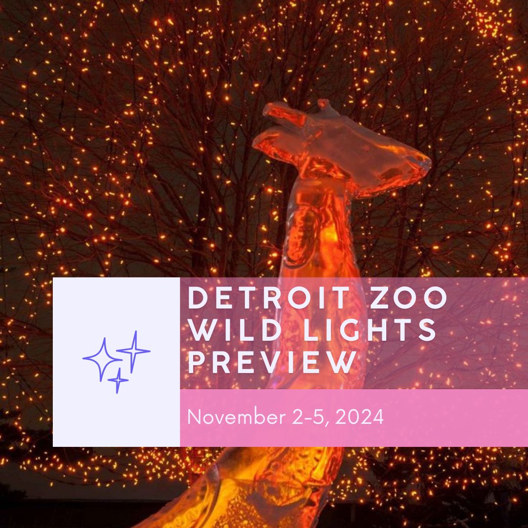 YolobeInc's tweet photo. November Fun for All in Michigan!

🍁 Celebrate November in Michigan! From dazzling light trails and unique holiday markets to family fun runs, there’s something for everyone to enjoy this season. 

#yolBe #yolBeCares #MichiganEvents #FamilyFun #PureMichigan #NovemberAdventures https://t.co/bEI2puFJUA