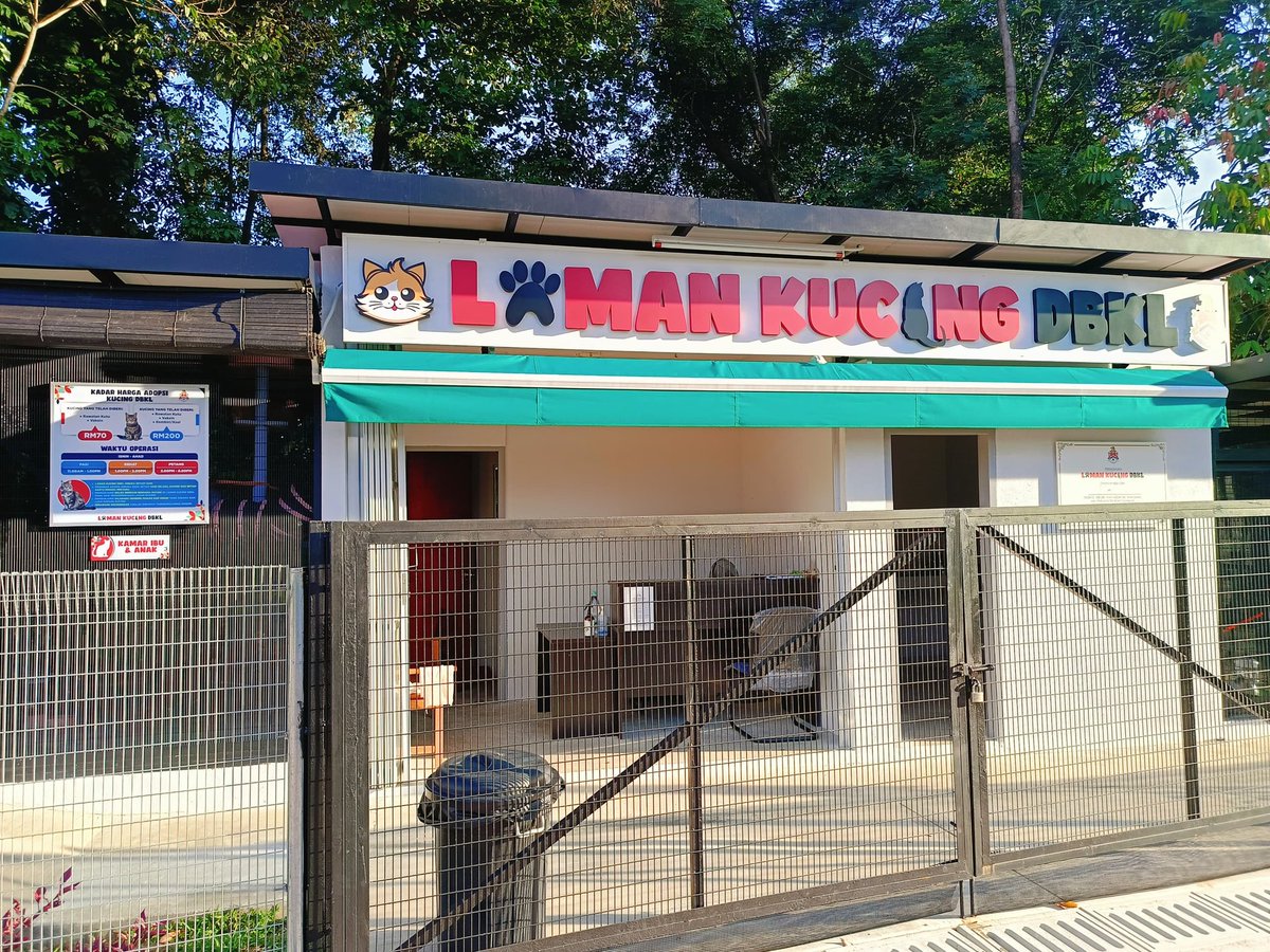 SZulaikhaMohd's tweet photo. Ada hikmah rupanya pintu belakang taman tutup. 
Tadi terpaksa guna pintu depan. 

Tup tup nampak ada laman kucing DBKL. Eh sejak bila ada?

Rupanya baru bukak 2 bulan lepas.

Boleh masuk main with the cats.
Plus boleh adopt kalau nak.
Ada kucing jantan dan betina.

Lagi? 👇 https://t.co/y06SG4H4eS