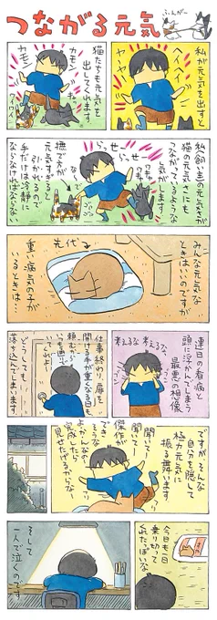 ひとり│フェリシモ猫部 https://t.co/DfQQXvyITE 