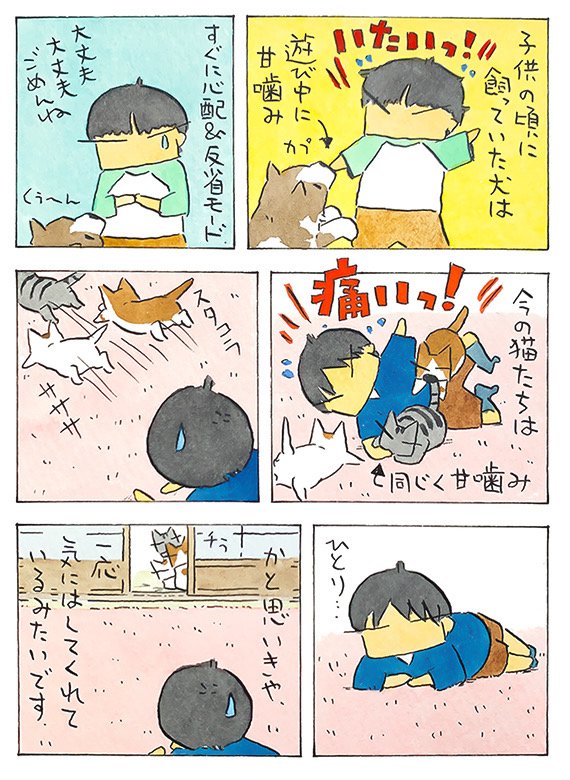 ひとり│フェリシモ猫部 https://t.co/DfQQXvyITE 