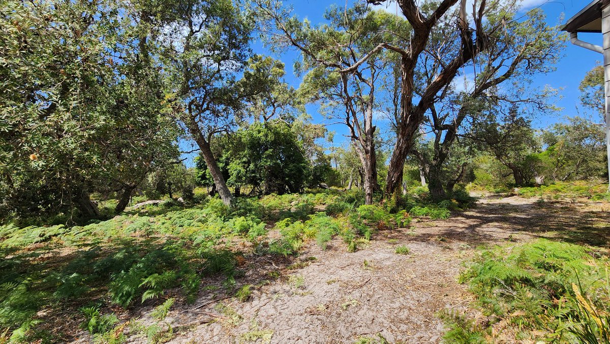 in jurassic park but with a tractor