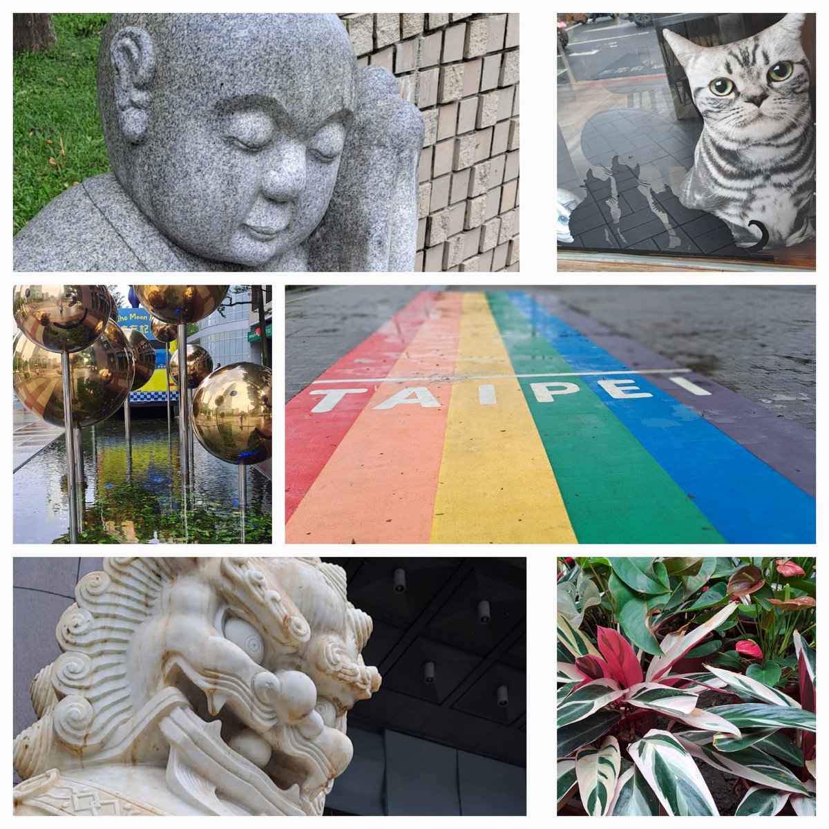 Melissa Graewert tweet media