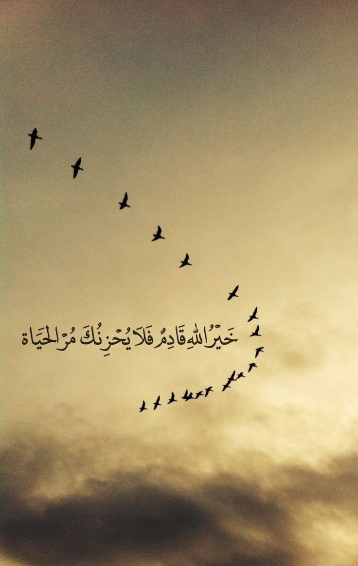 ثق بالله واطمئن🤎