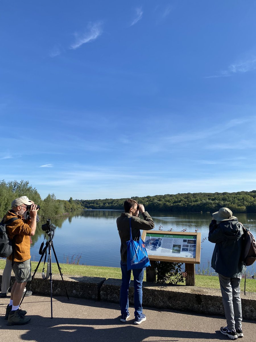 Sat 14 Sep 2024, London Bird Club Walk <a href="/LondonBirdClub/">London Bird Club</a> <a href="/LNHSoc/">LNHS</a> to Ruislip Woods NNR. Hobby, Sparrowhawk, Kingfisher amongst 48 bird species. For free, guided nature walks in London, download the LNHS Programme on lnhs.org.uk
#londonwildlife #londonbirds #wildbritain
