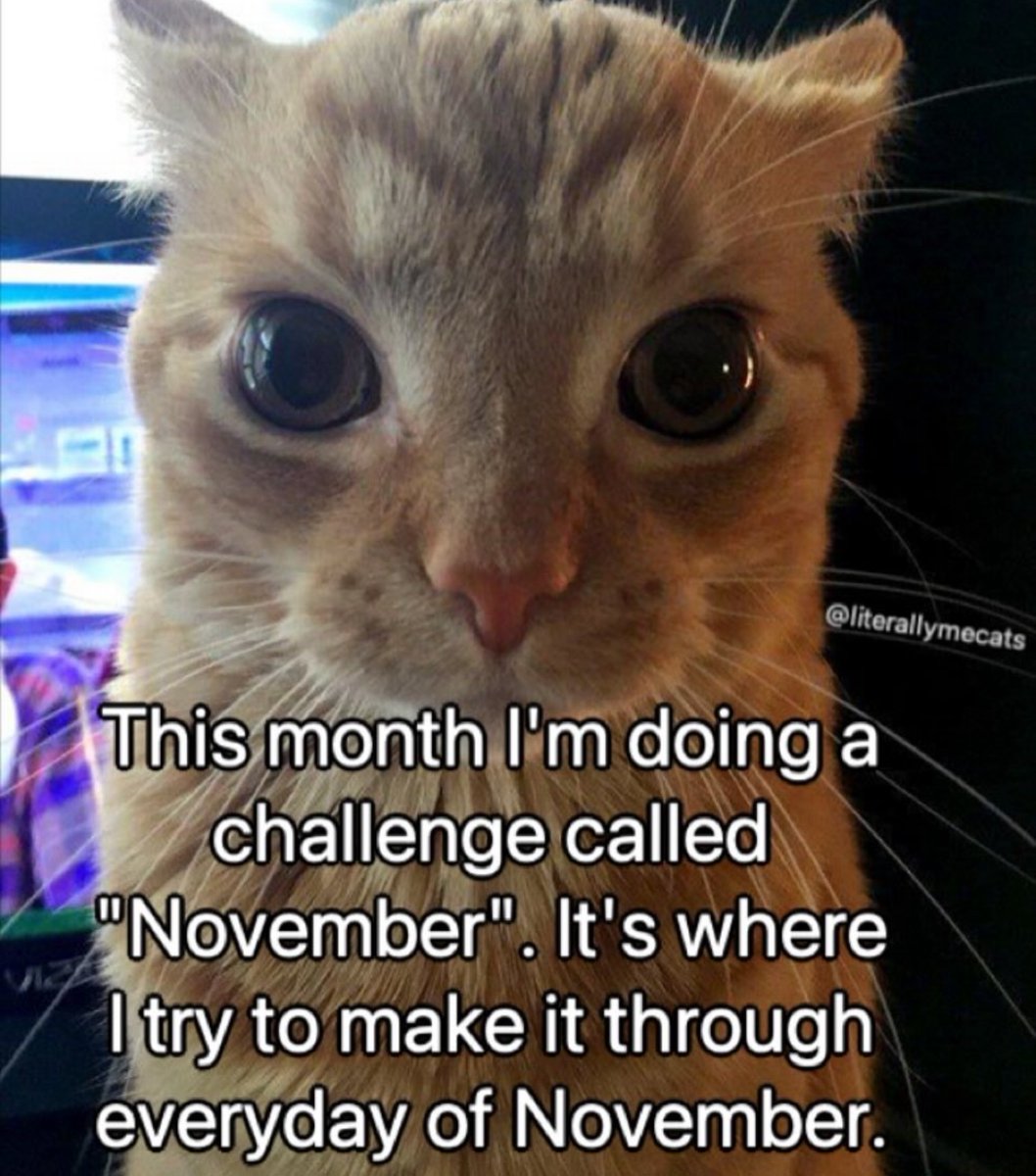 nocontextmemes's tweet image. 