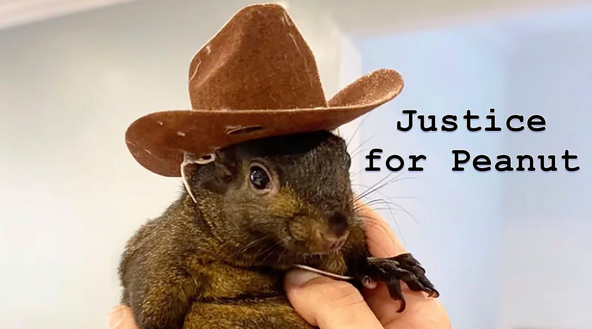 LisaColver's tweet image. #justiceforpeanut