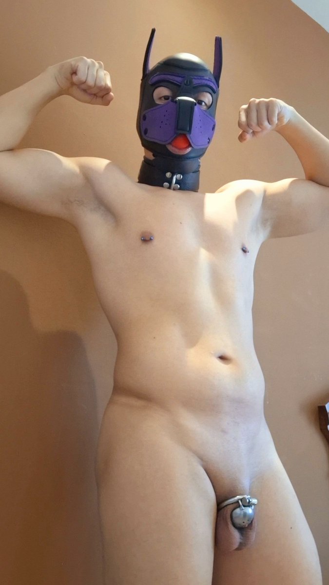 A locked dog is a good dog