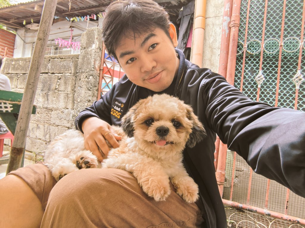 LovyMendz's tweet photo. Sancho. ❤️ https://t.co/Y4N545aIh9