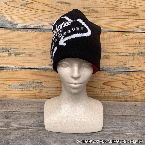 🔳hide Birthday Party 2024 グッズ🔳 ＼ラインナップ順次ご紹介