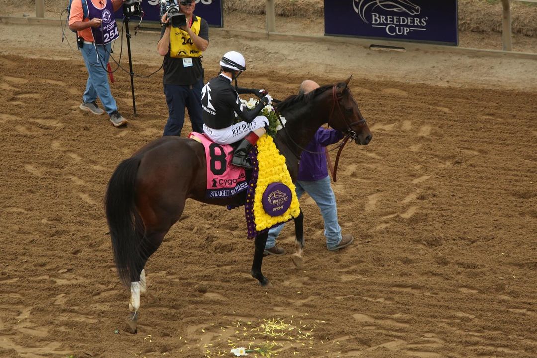 🥃 Straight No Chaser 🥃

Congrats to <a href="/MyRacehorse/">MyRacehorse</a> and trainer <a href="/dan_blacker/">Dan Blacker Racing</a> on their #BreedersCup Sprint (GI) win!