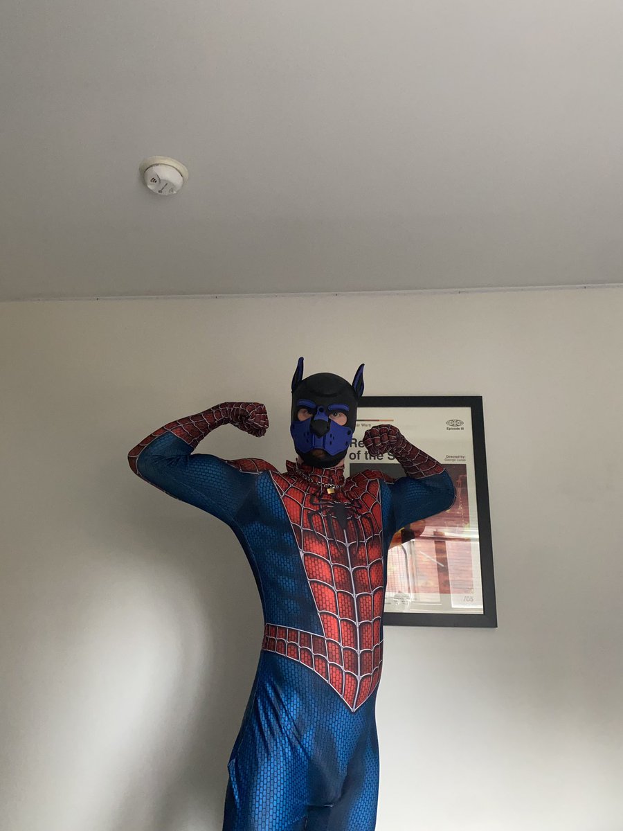 APupNamedGhost's tweet photo. Friendly neighborhood Spider-Pup 🐶

#pupplay #chastity https://t.co/53dukIgwsI