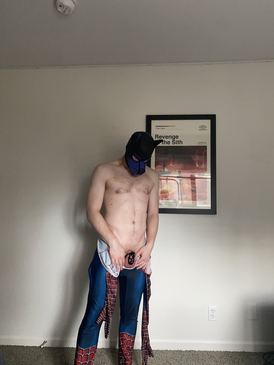 APupNamedGhost's tweet photo. Friendly neighborhood Spider-Pup 🐶

#pupplay #chastity https://t.co/53dukIgwsI