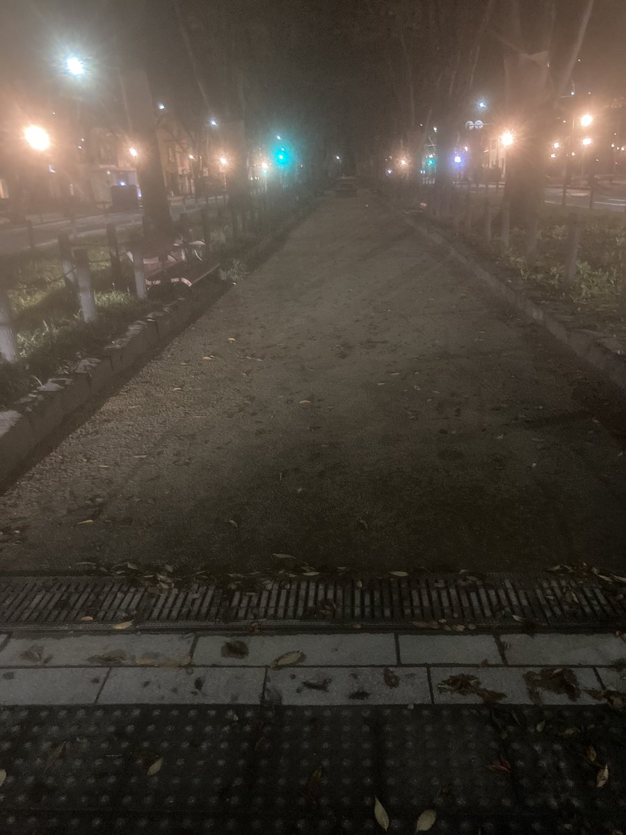 地面は乾いているようです。