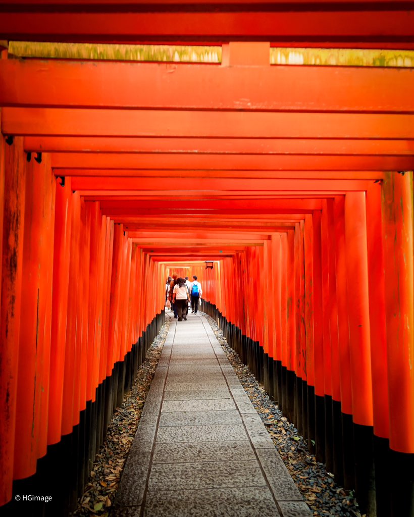 HGimage_'s tweet photo. Kyoto, Japan 

#japan #kyoto https://t.co/rszISbQXJa