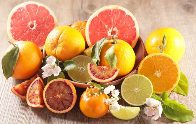 NutriCarediet's tweet image. 🍊Citrus fruits like oranges, mandarins, and lemons are immunity boosters! High in vit C, it helps kids' immune system and recovery from colds. #CitrusFruits #HealthySnacks