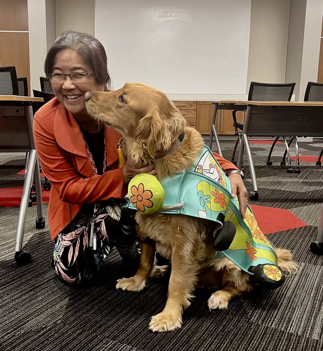 DrSyMoroi's tweet image. Happy post 🎃 from @OhioStateEye with #Shaggy, @Buckeye-paws Iro as Mystery Machine & our #FindingWaldo patient services!