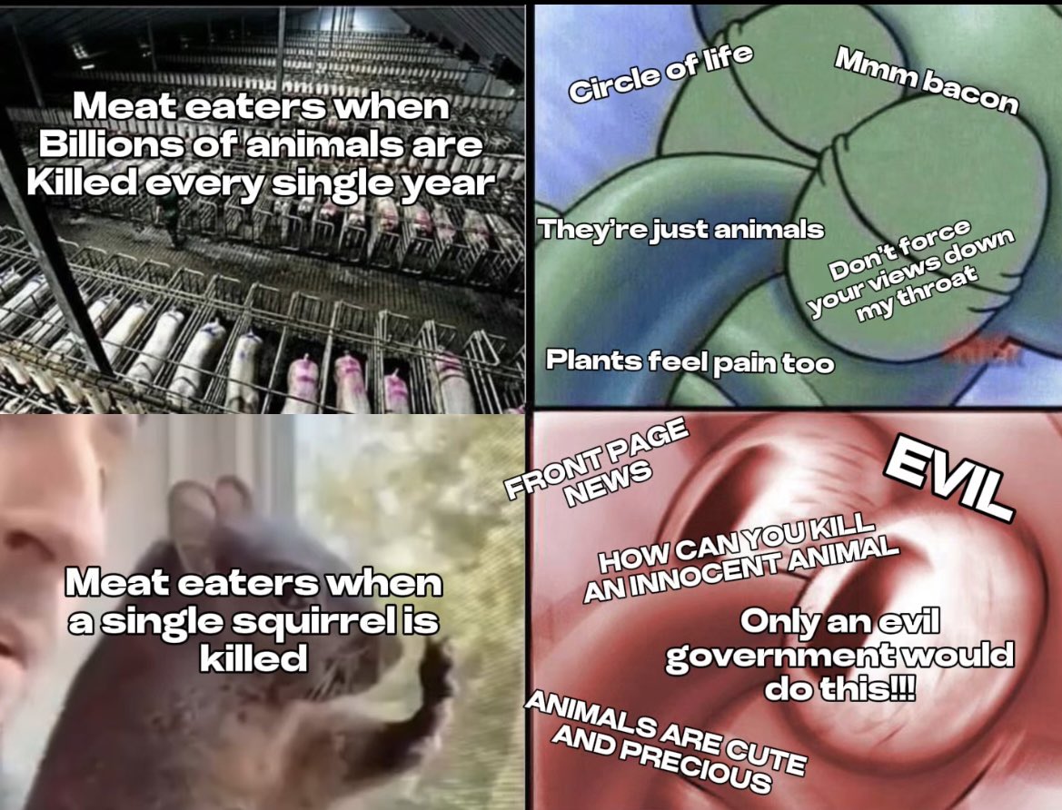 KingScrubba's tweet image. The squirrel was a pet tho