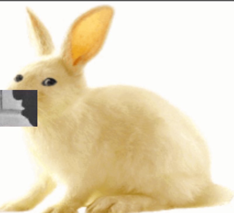 n64model's tweet image. 