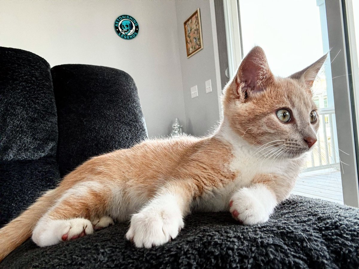 Astonishing Legends tweet media