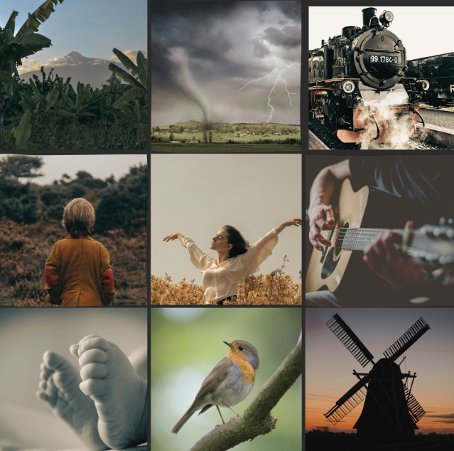 My mood board for WORTH THE WHISTLE, a contemporary family saga with elements of magical realism:
🪶 A mystical train
🪶 Ensemble cast faces disability, addiction, and death
🪶 Extraordinary parental love
🪶 Family lore
🪶 An escape from the afterlife

#questpit #q #a #amquerying