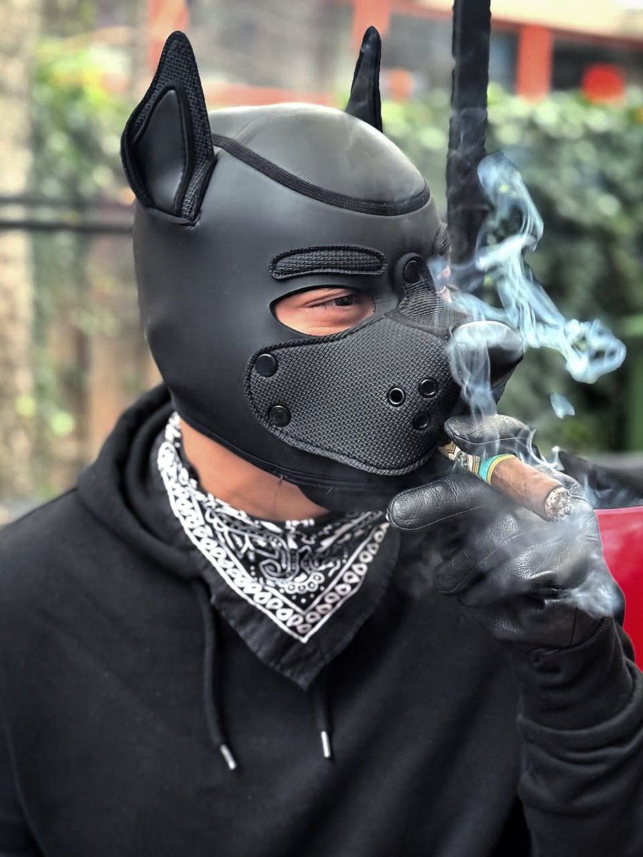 Had a fun time at <a href="/BarkPlayNL/">VSSM Bark & Play (🦋 barkandplay.nl)</a> today! Decided to take it relaxed and enjoy the wonderful company.

Now this is a sight you don't see often, a cigar smoking puppy 😏

Cigar courtesy of <a href="/borkbarkbark/">borqk 🛫MIR</a> who got it for me in Boston.

Don't worry, Jethro doesn't smoke often 😅