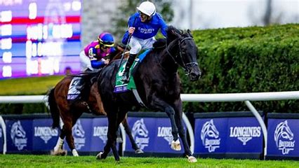AmWager's tweet photo. The Pick 6 starts now with the $5 Million Longines @BreedersCup Turf @DelMarRacing, the Euro's dominate the turf, can they get another one home? Watch live and play your choice with AmWager now! #turfracing #wingspan #rebelsromance #BC24 🏆🏇⭐ https://t.co/ZTE8UPITIY