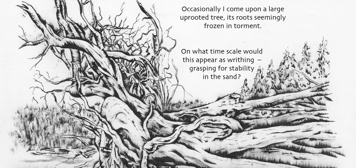 The Evergreen Review tweet media