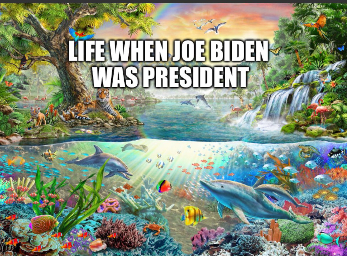 YungPut1n tweet media