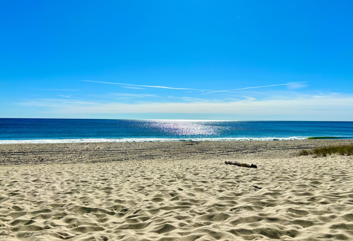georgehirsch's tweet photo. Happy Sunday!
Feel the gentle ripple of the wave, where the profound silence speaks loudly, echoing softly in your heart. In this serene moment, embrace the beauty of connection and the gift of presence.
May your day be filled with peace + tranquility! https://t.co/ULCEK9T5HB