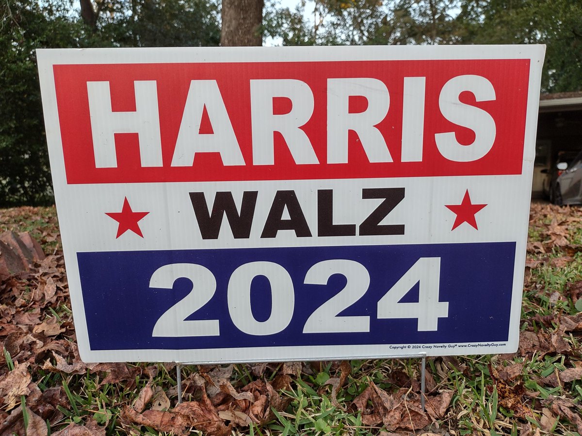 clntcloud's tweet image. GET OUT &amp;amp; VOTE!