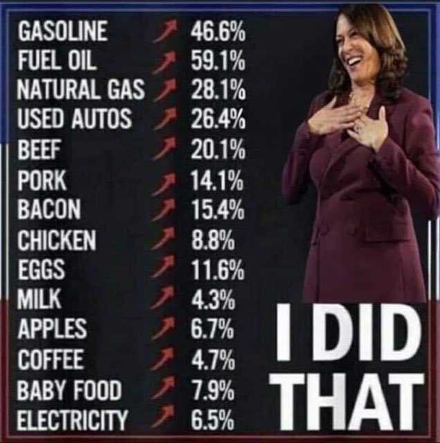 1Nicdar's tweet image. Who in their right mind is gonna vote for four more years of this?