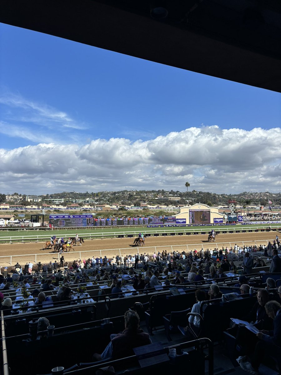 PeterCat16's tweet photo. Day 2, @BreedersCup Classic Day https://t.co/iW7OLENbRF