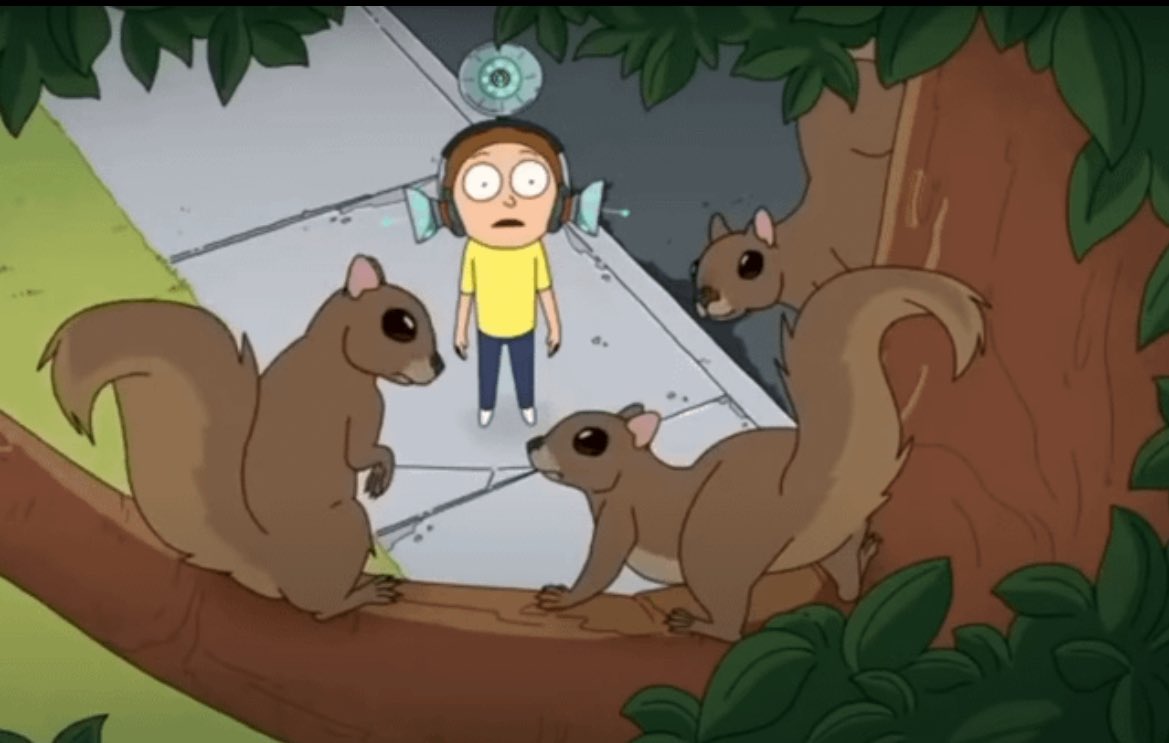 DONT FUCK WITH THE SQUIRRELS #Trump2024