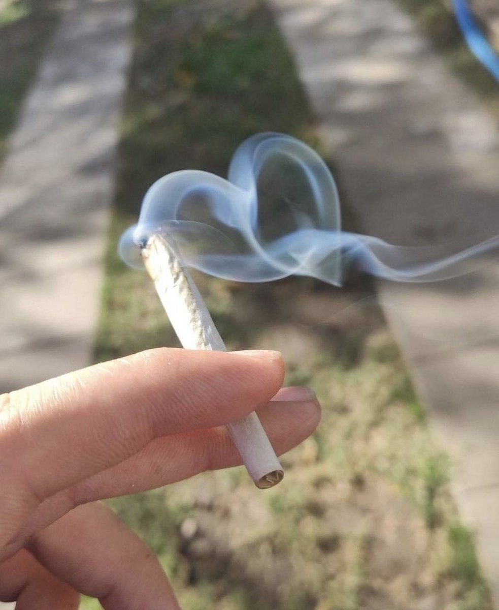 Mini Archillect (@miniarchillect) on Twitter photo 