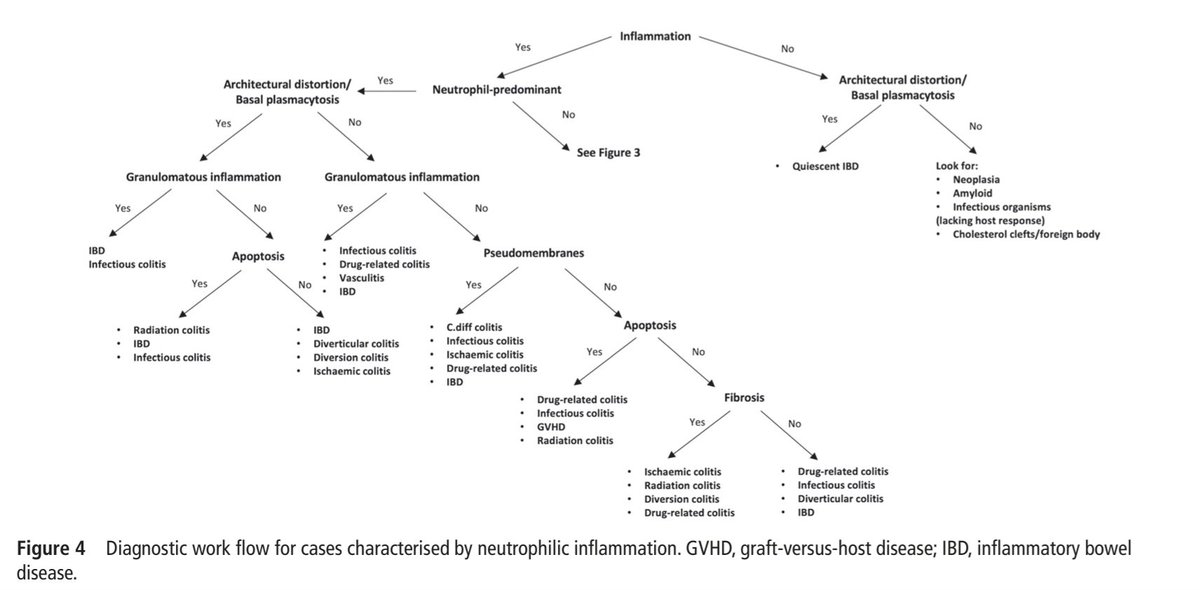 Diagnostic Algorithms of Biopsies of Non-neoplastic Colorectal Diseases 🔬
jcp.bmj.com/content/73/12/…