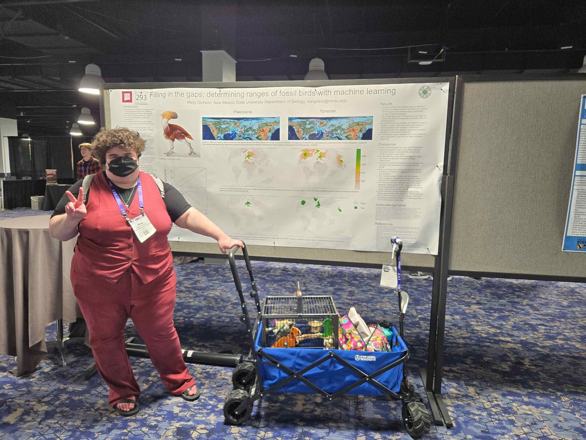 Curious about birds? Biogeography? Just want to look at my conure? Come on down to poster 293! #2024SVP #SVP2024