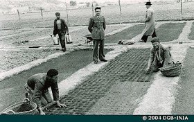 En 1939 comienzan se pone en marcha el plan de Ceballos en nuestra comarca.En 1947, se construye una casa forestal en el Barrio y se comienza a producir en masa plantones de Pinus halepensis para la Sierra de Cartagena. Hoy , esa casa está bien gestionada por <a href="/asociacionanse/">Anse (cuenta inactiva)</a> 👌