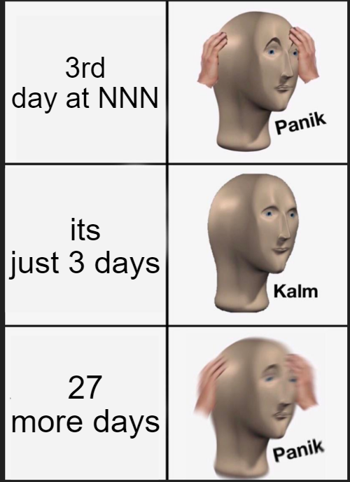 day 3

#NoNutNovember #Solana