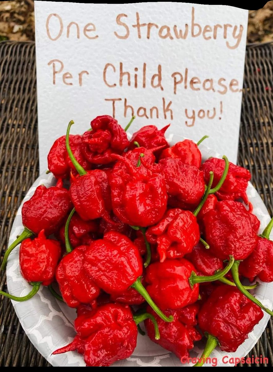 StangSalsa's tweet image. 🥸