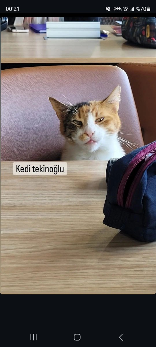 berfin (@yeterbebikes) on Twitter photo 